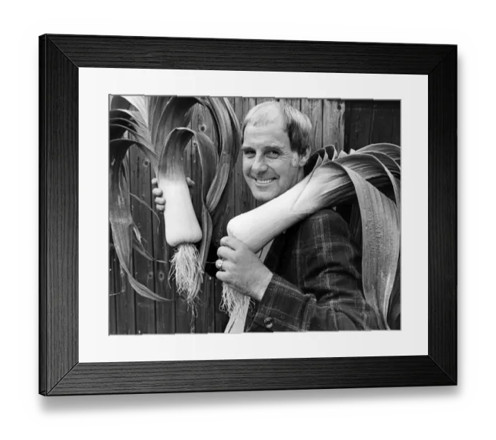 Framed Print : Overall winner at Brotton Leek Show with the best leek and best pair of leeks Framed Print : Overall winner at Brotton Leek Show with the best leek and best pair of leeks