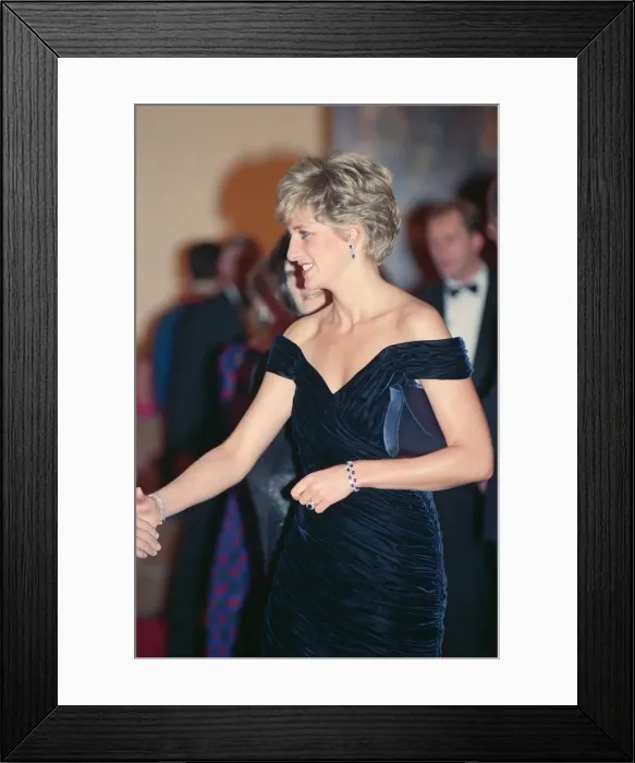 Framed Print : HRH The Princess of Wales, Princess Diana, attends Carnival of the Birds for