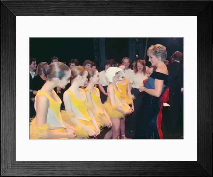 Framed Print : HRH The Princess of Wales, Princess Diana, attends Carnival of the Birds for