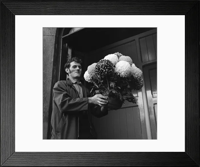Framed Print : Norton leek show. 1971 Framed Print : Norton leek show. 1971