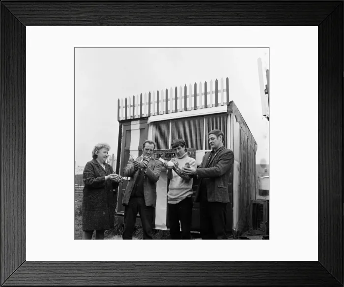 Framed Print : Pigeon racing season starts in Brotton, North Yorkshire. 1972 Framed Print : Pigeon racing season starts in Brotton, North Yorkshire. 1972