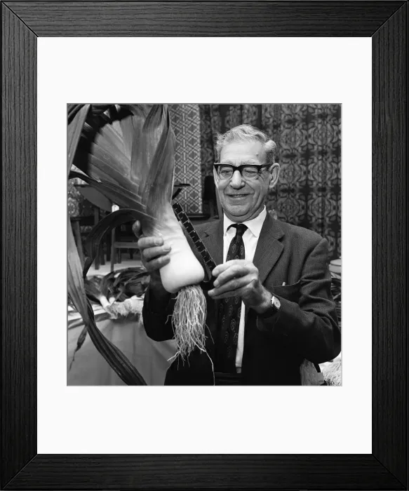 Framed Print : Billingham leek show. 1974