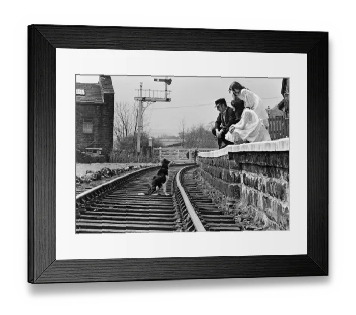 Framed Print : The cameras rolled, the scene was set and the action began when along came Shep Framed Print : The cameras rolled, the scene was set and the action began when along came Shep