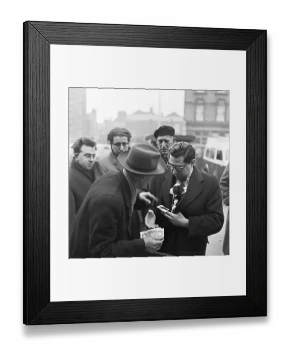 Framed Print : Puppies for sale at a stall in the flea market at Club Row, Bethnal Green Framed Print : Puppies for sale at a stall in the flea market at Club Row, Bethnal Green