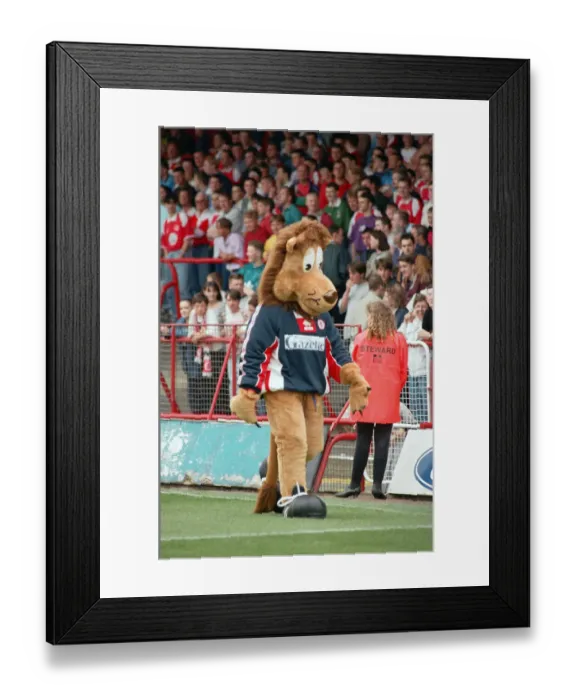 Framed Print : Roary, the Boro Lion mascot, makes his debut at Ayresome Park at a Charity Gala Day