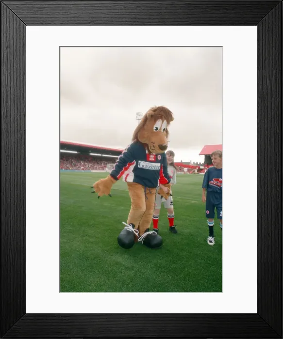 Framed Print : Roary, the Boro Lion mascot, makes his debut at Ayresome Park at a Charity Gala Day Framed Print : Roary, the Boro Lion mascot, makes his debut at Ayresome Park at a Charity Gala Day