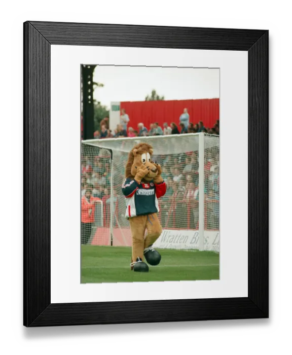 Framed Print : Roary, the Boro Lion mascot, makes his debut at Ayresome Park at a Charity Gala Day
