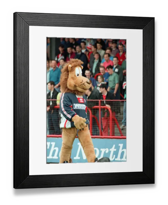 Framed Print : Roary, the Boro Lion mascot, makes his debut at Ayresome Park at a Charity Gala Day Framed Print : Roary, the Boro Lion mascot, makes his debut at Ayresome Park at a Charity Gala Day