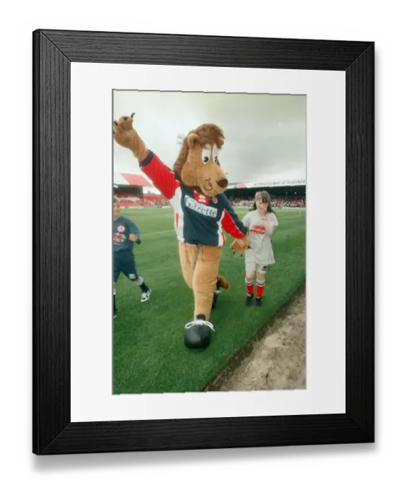 Framed Print : Roary, the Boro Lion mascot, makes his debut at Ayresome Park at a Charity Gala Day Framed Print : Roary, the Boro Lion mascot, makes his debut at Ayresome Park at a Charity Gala Day