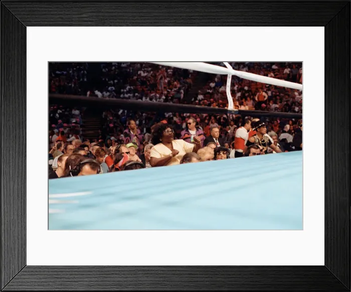Framed Print : Lennox Lewis vs. Tony Tucker, billed as Star Spangled Glory Framed Print : Lennox Lewis vs. Tony Tucker, billed as Star Spangled Glory