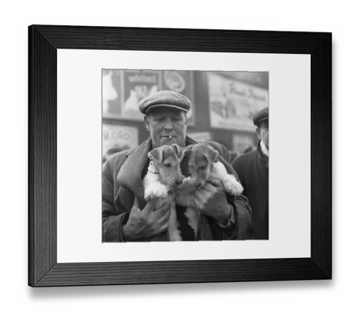 Framed Print : Puppies for sale at a stall in the flea market at Club Row, Bethnal Green Framed Print : Puppies for sale at a stall in the flea market at Club Row, Bethnal Green