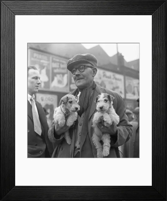 Framed Print : Puppies for sale at a stall in the flea market at Club Row, Bethnal Green Framed Print : Puppies for sale at a stall in the flea market at Club Row, Bethnal Green