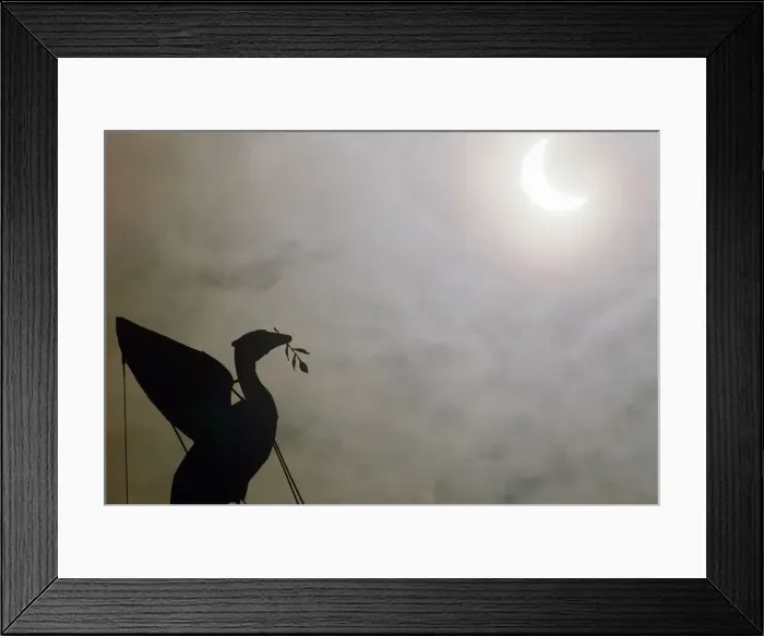 Framed Print : The solar eclipse pictured behind the Silhouette of the Liver Bird on a tower of Framed Print : The solar eclipse pictured behind the Silhouette of the Liver Bird on a tower of