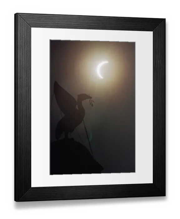 Framed Print : The solar eclipse pictured behind the Silhouette of the Liver Bird on a tower of Framed Print : The solar eclipse pictured behind the Silhouette of the Liver Bird on a tower of