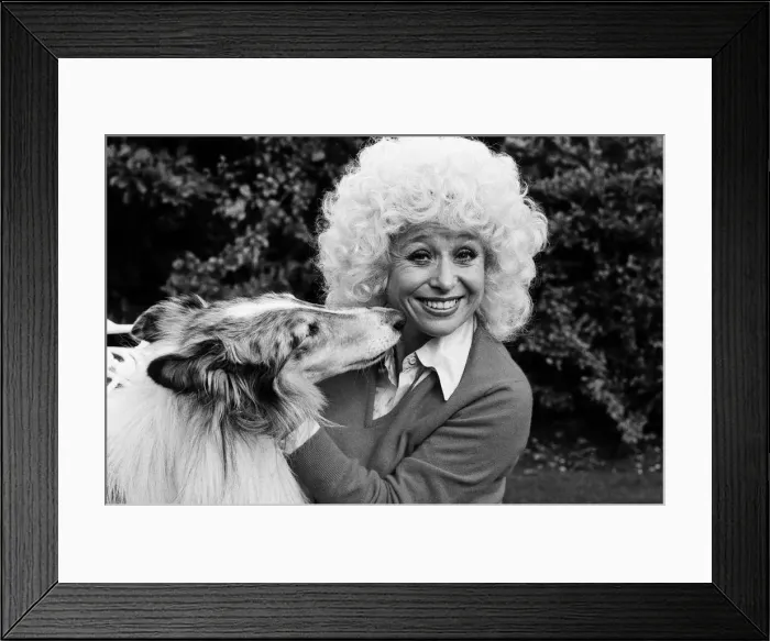 Framed Print : Actress Barbara Windsor at home. 19th October 1980 Framed Print : Actress Barbara Windsor at home. 19th October 1980