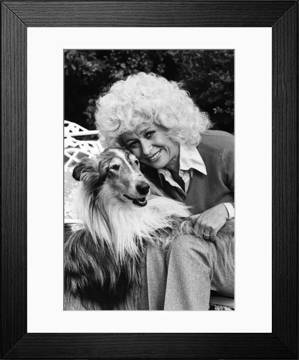 Framed Print : Actress Barbara Windsor at home. 19th October 1980 Framed Print : Actress Barbara Windsor at home. 19th October 1980