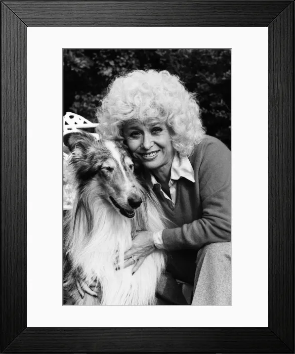 Framed Print : Actress Barbara Windsor at home. 19th October 1980 Framed Print : Actress Barbara Windsor at home. 19th October 1980
