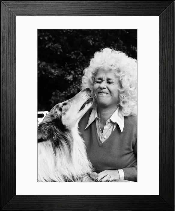 Framed Print : Actress Barbara Windsor at home. 19th October 1980 Framed Print : Actress Barbara Windsor at home. 19th October 1980