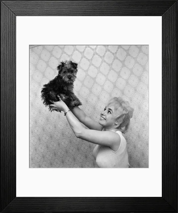 Framed Print : Cockney actress Barbara Windsor at home. 12th February 1960 Framed Print : Cockney actress Barbara Windsor at home. 12th February 1960