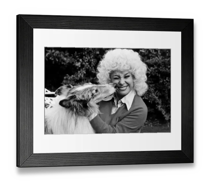 Framed Print : Actress Barbara Windsor at home. 19th October 1980 Framed Print : Actress Barbara Windsor at home. 19th October 1980