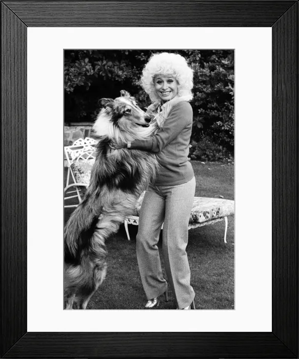 Framed Print : Actress Barbara Windsor at home. 19th October 1980