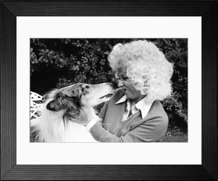 Framed Print : Actress Barbara Windsor at home. 19th October 1980 Framed Print : Actress Barbara Windsor at home. 19th October 1980