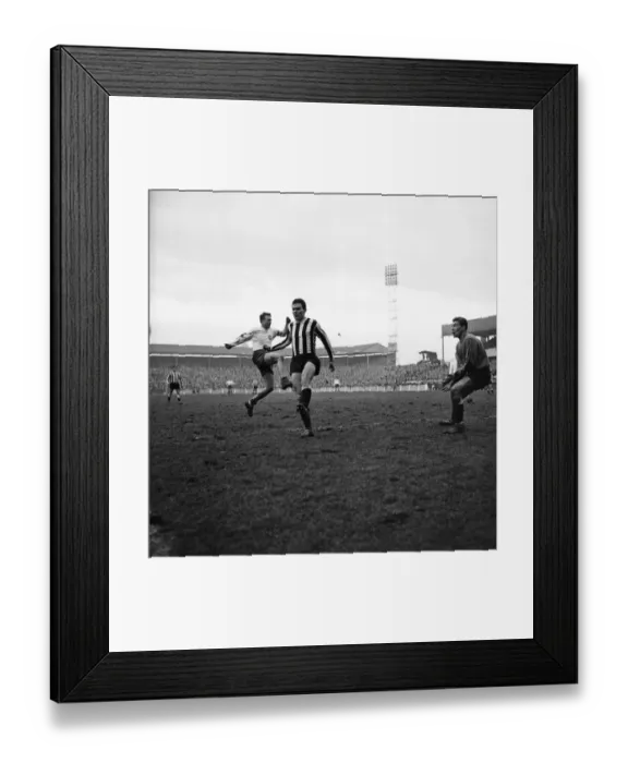 Framed Print : Preston North End v Newcastle United. From the expression on McGrath Framed Print : Preston North End v Newcastle United. From the expression on McGrath