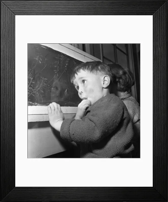 Framed Print : A young pupil at the L. C. C. Day nursery in Regency Street, Victoria London Framed Print : A young pupil at the L. C. C. Day nursery in Regency Street, Victoria London