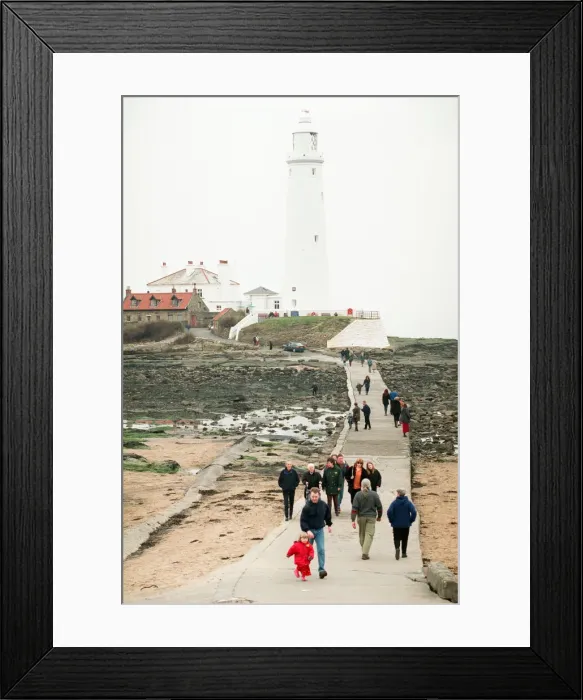 Framed Print : Spring clean weekend at St Marys Lighthouse in Whitley Bay Framed Print : Spring clean weekend at St Marys Lighthouse in Whitley Bay