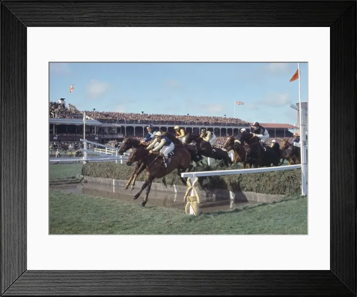 Framed Print : Grand National Horserace held at Aintree, Liverpool. The Fossa Framed Print : Grand National Horserace held at Aintree, Liverpool. The Fossa