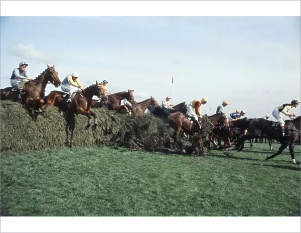 Grand National Horserace held at Aintree, Liverpool. Eventual winner Red Alligator