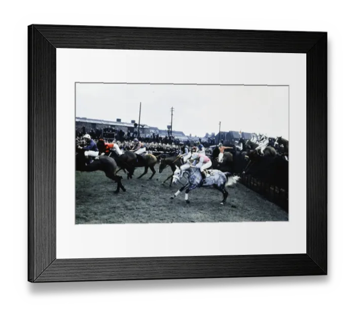 Framed Print : Grand National Horserace held at Aintree, Liverpool. Jeremy Hindly on Tam Kiss (25 Framed Print : Grand National Horserace held at Aintree, Liverpool. Jeremy Hindly on Tam Kiss (25