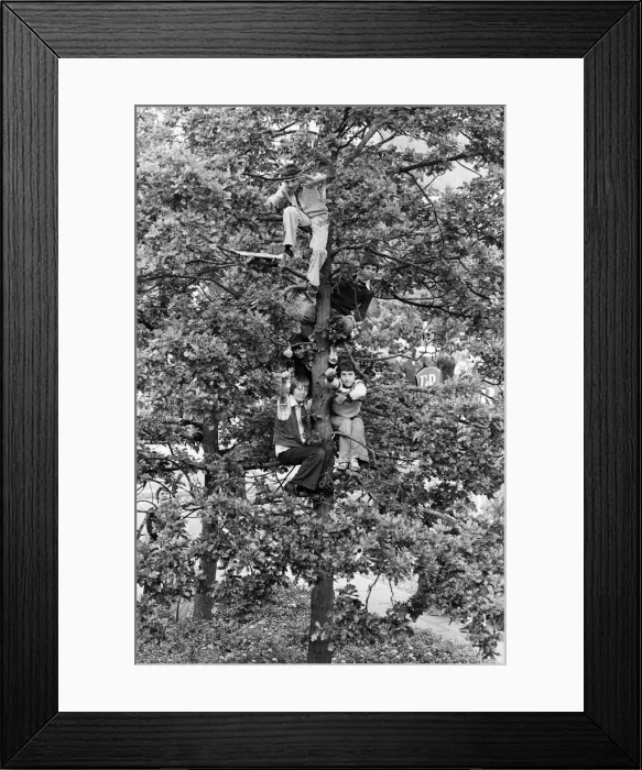 Framed Print : Queen Elizabeth II during her visit to Solihull during her Silver Jubilee tour Framed Print : Queen Elizabeth II during her visit to Solihull during her Silver Jubilee tour