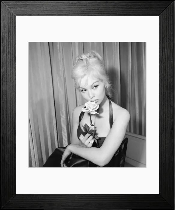 Framed Print : Mylene Demongeot, french actress, pictured in her suite at The Savoy Hotel, London Framed Print : Mylene Demongeot, french actress, pictured in her suite at The Savoy Hotel, London