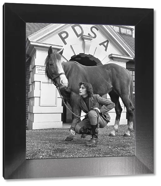 Dorothy H Cauie has a horse at the Peoples Dispensary for Sick Animals hospital at