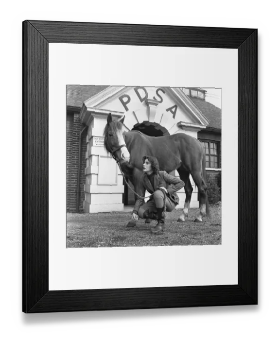 Framed Print : Dorothy H Cauie has a horse at the Peoples Dispensary for Sick Animals hospital