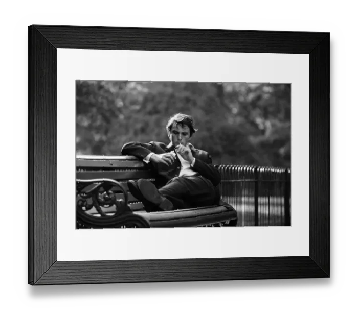 Framed Print : Actor Terence Stamp pictured in a park in London. 13th September 1962 Framed Print : Actor Terence Stamp pictured in a park in London. 13th September 1962
