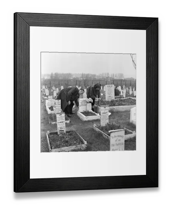 Framed Print : Owners of their beloved cocker spaniel Dinah