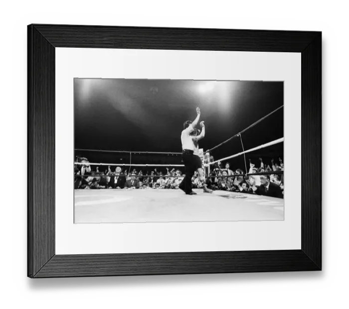 Framed Print : Tony Sibson relinquished his European and Commonwealth titles to ensure he got the right Framed Print : Tony Sibson relinquished his European and Commonwealth titles to ensure he got the right
