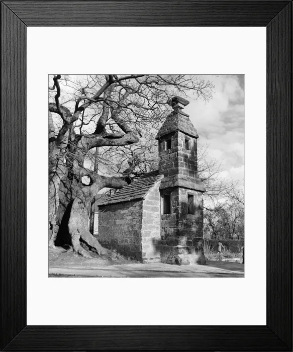 Framed Print : The Old Cage at Lingfield, Surrey. Circa 1950