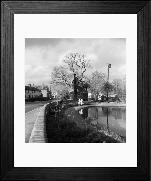 Framed Print : The Old Cage at Lingfield, Surrey. Circa 1950 Framed Print : The Old Cage at Lingfield, Surrey. Circa 1950