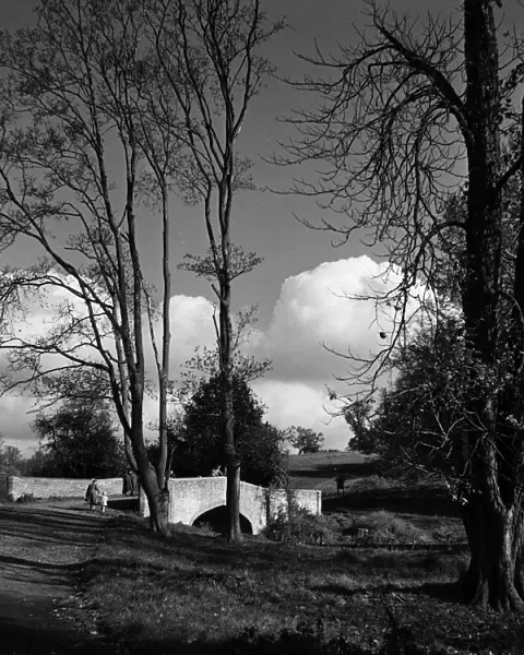 Winter scene at Cassiobury Park in Watford, Hertfordshire. Circa 1950
