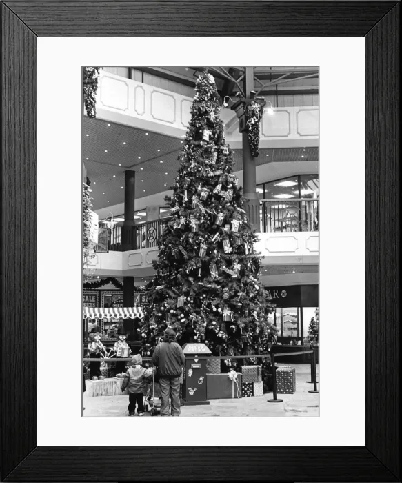 Framed Print : The Cathedral Lanes Shopping Centre in Coventry, Midlands, England Framed Print : The Cathedral Lanes Shopping Centre in Coventry, Midlands, England