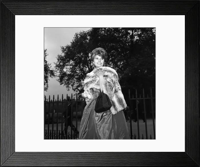 Framed Print : Sophia Loren, who will be starring with Peter Sellers in the Dimitri de Grunwald Framed Print : Sophia Loren, who will be starring with Peter Sellers in the Dimitri de Grunwald