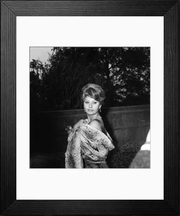 Framed Print : Sophia Loren, who will be starring with Peter Sellers in the Dimitri de Grunwald Framed Print : Sophia Loren, who will be starring with Peter Sellers in the Dimitri de Grunwald