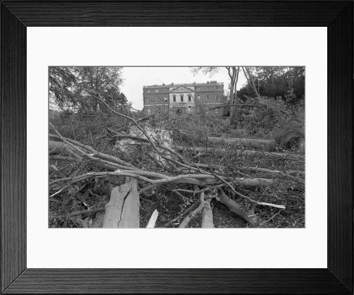 Framed Print : The Great Storm of 1987 - The night of the 15th-16th October - Stories from the Surrey