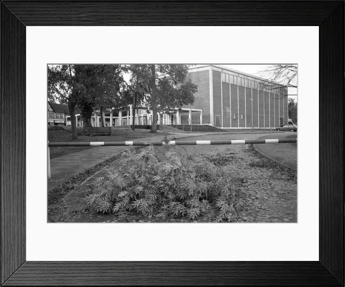 Framed Print : The Great Storm of 1987 - The night of the 15th-16th October - Stories from the Surrey Framed Print : The Great Storm of 1987 - The night of the 15th-16th October - Stories from the Surrey