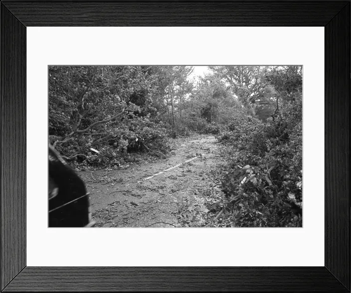 Framed Print : The Great Storm of 1987 - The night of the 15th-16th October - Stories from the Surrey