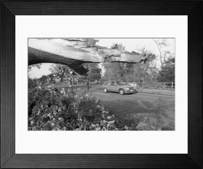 Framed Print : The Great Storm of 1987 - The night of the 15th-16th October - Stories from the Surrey Framed Print : The Great Storm of 1987 - The night of the 15th-16th October - Stories from the Surrey