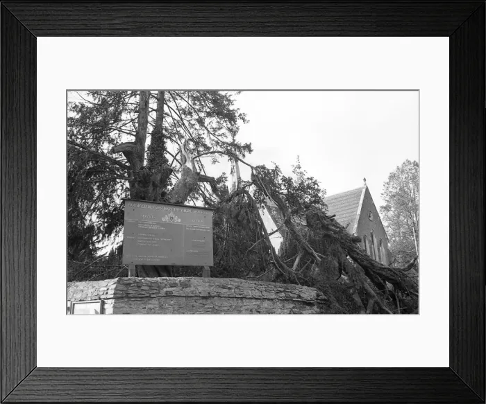 Framed Print : The Great Storm of 1987 - The night of the 15th-16th October - Stories from the Surrey Framed Print : The Great Storm of 1987 - The night of the 15th-16th October - Stories from the Surrey